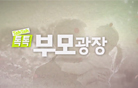부모교육
